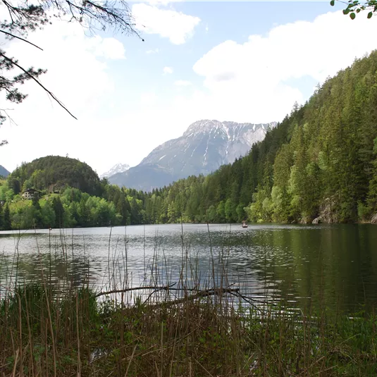 Piburg (1)