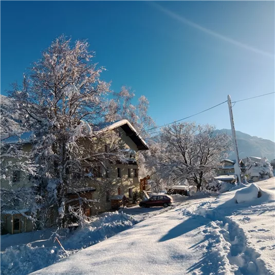 A snowy landscape image with a building and snow-covered trees. The sky is clear and blue, creating a wintry atmosphere.