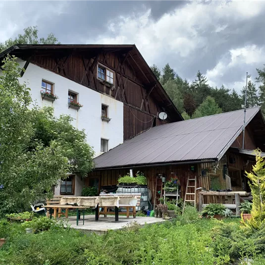 A rustic house surrounded by trees and green areas. The front area is equipped with a table and benches for relaxation.