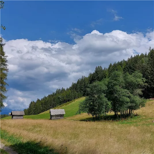 Eine idyllische Landschaft mit Hütten, umgeben von grünen Wiesen und einem Wald. Der Himmel ist bewölkt und gibt der Szene eine ruhige Atmosphäre.
