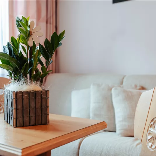 A beautiful table with a plant arrangement in a modern room. In the background, a sofa and curtains can be seen.