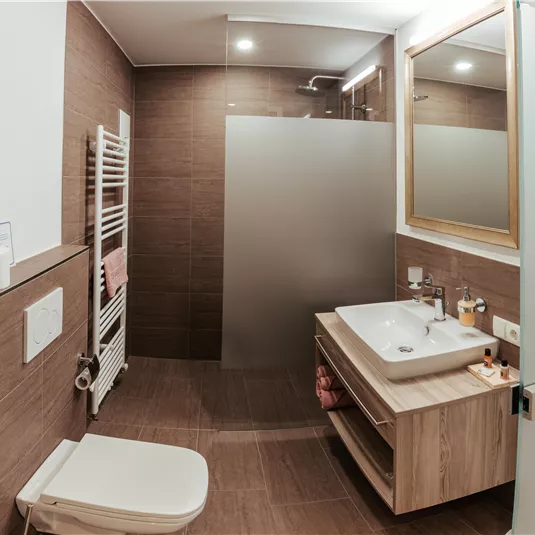 A modern bathroom with a shower and a wooden sink. The walls are painted in warm earth tones, and a large mirror reflects the light.