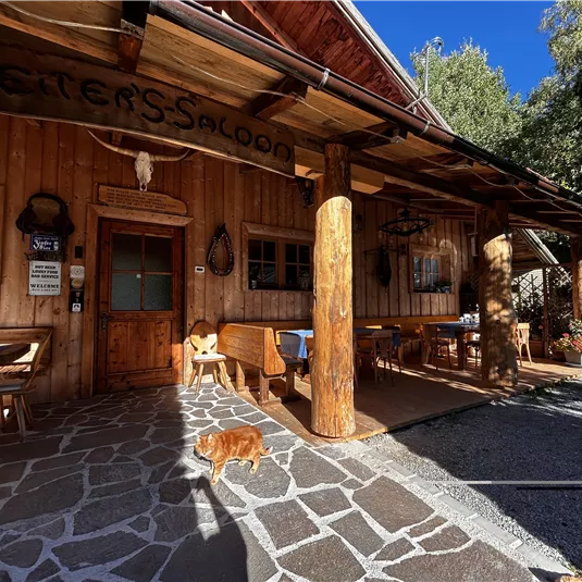 A rustic wooden house with an inviting porch. In front of the entrance, a dog is sitting on the stone floor.