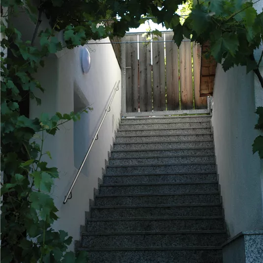 A stone staircase leads to a closed gate. The staircase is framed by green plants.