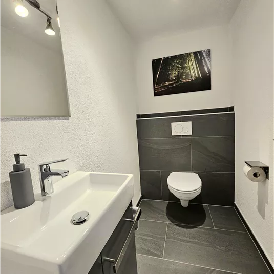 A modern bathroom with a sink and a toilet. The walls are light, and there is a wall mural with a forest motif.