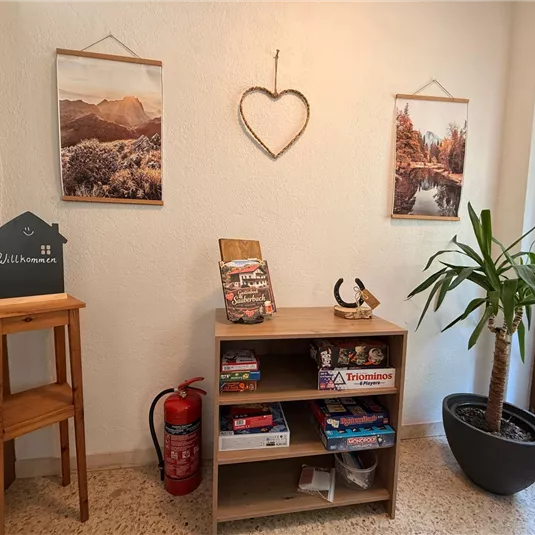 An inviting entrance area with a wooden shelf displaying games and books.
On the wall hang pictures of landscapes, and a plant is in a large flower pot.