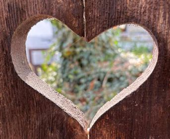 A heart-shaped hole in a wooden board. Green plants are visible in the background.