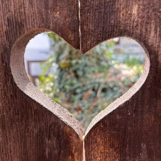 Ein herzförmiges Loch in einem Holzbrett. Im Hintergrund sind grüne Pflanzen sichtbar.