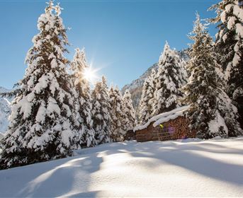 Winterbild