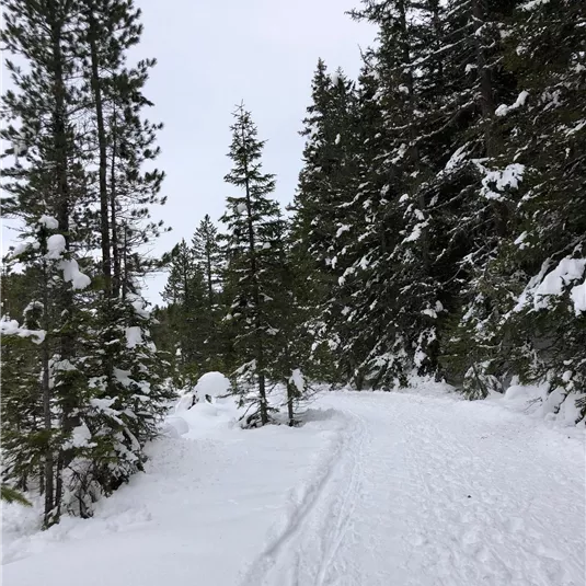 Winterwanderung