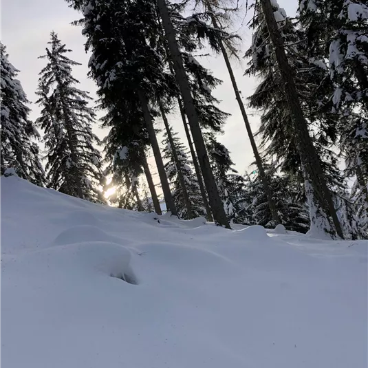 Winterwanderung am Hochzeiger