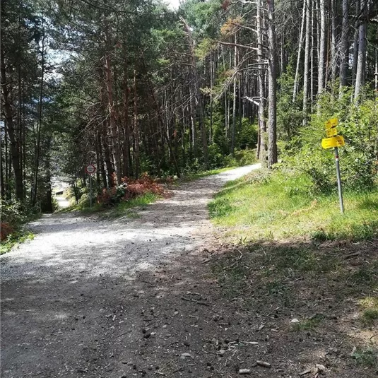 Abzweigung Diemersteig - Hohe Bank