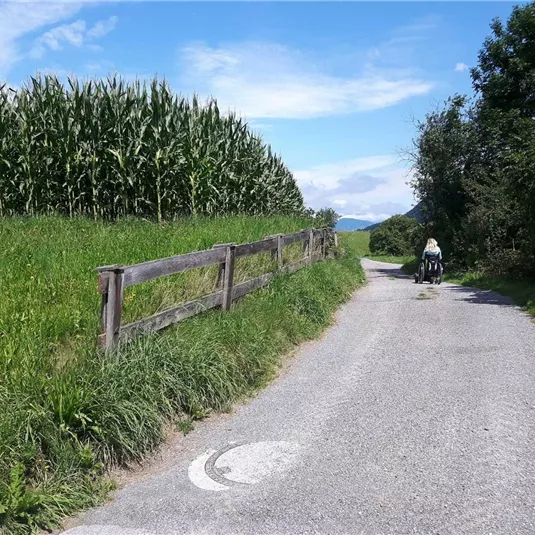 alte Straße nach Wenn (2).jpg