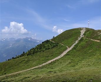 Am Weg zur Goglesalm