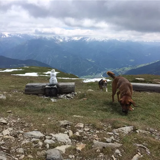 Venet-Rundwanderweg - Ausblick von der Glanderspitze