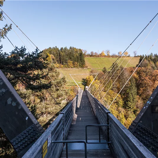 Benni Raich Bridge in autumn