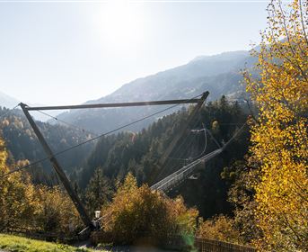 Benni Raich Brücke im Herbst