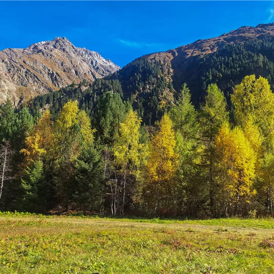 View towards Mandarfner summit