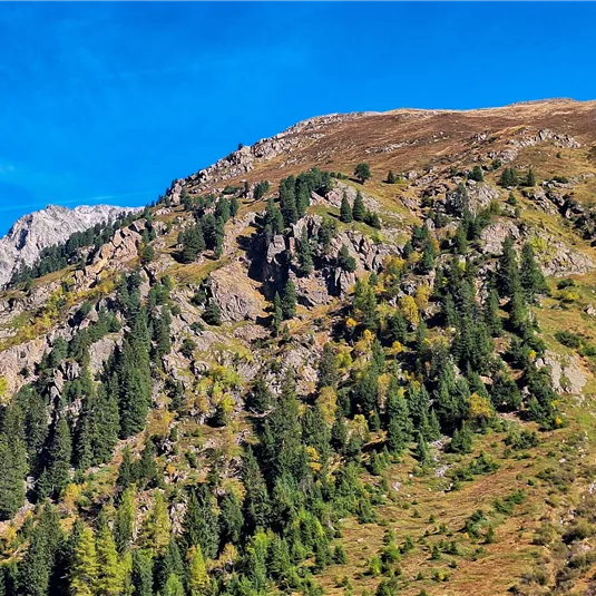 View towards Mandarfner Summit