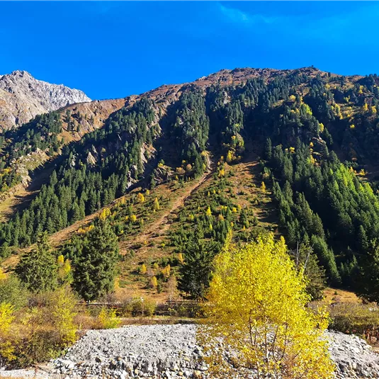 View towards Mandarfner summit