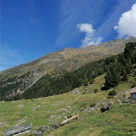 Blick von der Ludwigsburger Hütte zum Gemeindekopf.jpg