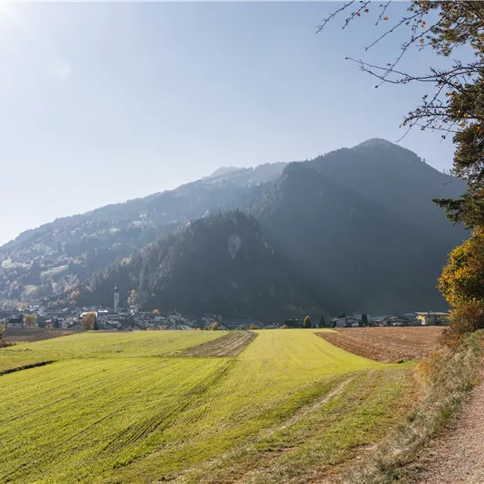 Diemersteig/Hohe Bank in autumn