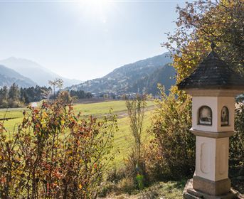 Diemersteig/Hohe Bank im Herbst