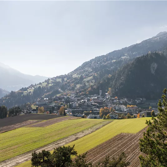 Diemersteig/Hohe Bank in autumn