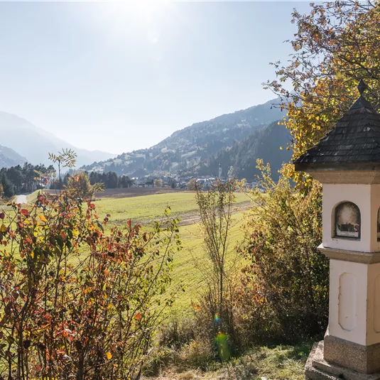 Diemersteig/Hohe Bank in autumn