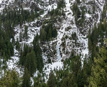 Ice Climbing Forelle Blau