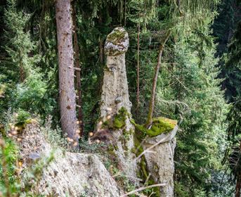 tour_3_erdpyramiden_wald_tvb_pitztal__chris_walch_breonix.jpg
