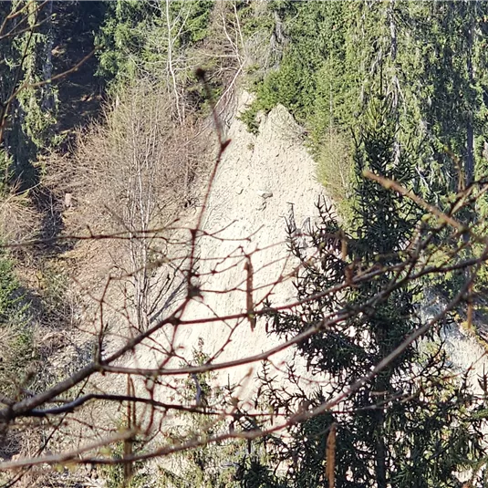 c-tvb-pitztal-karin-lugteiner-erdpyramidenrundwanderung-20250406_094410.jpg