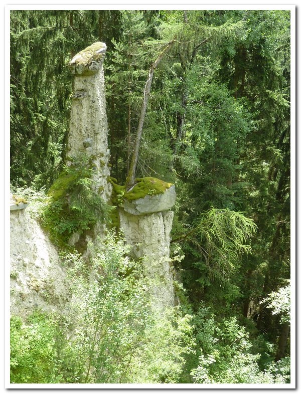 Rundwanderung Wald - Hohenegg
