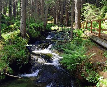 Erholsame Wanderung am Pillerbach entlang