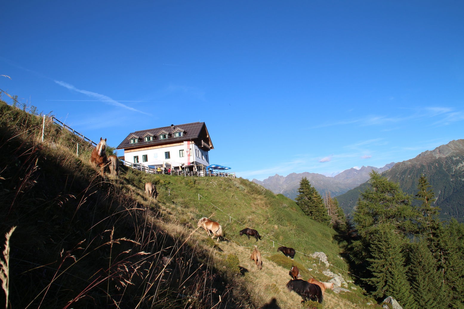 Naturparkhaus Kaunergrat - Gogles Alm 795