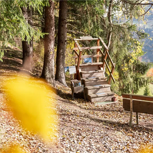 Happy Track im Herbst