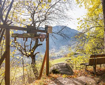 Happy Track im Herbst