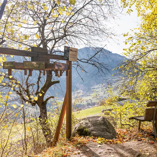 Happy Track im Herbst