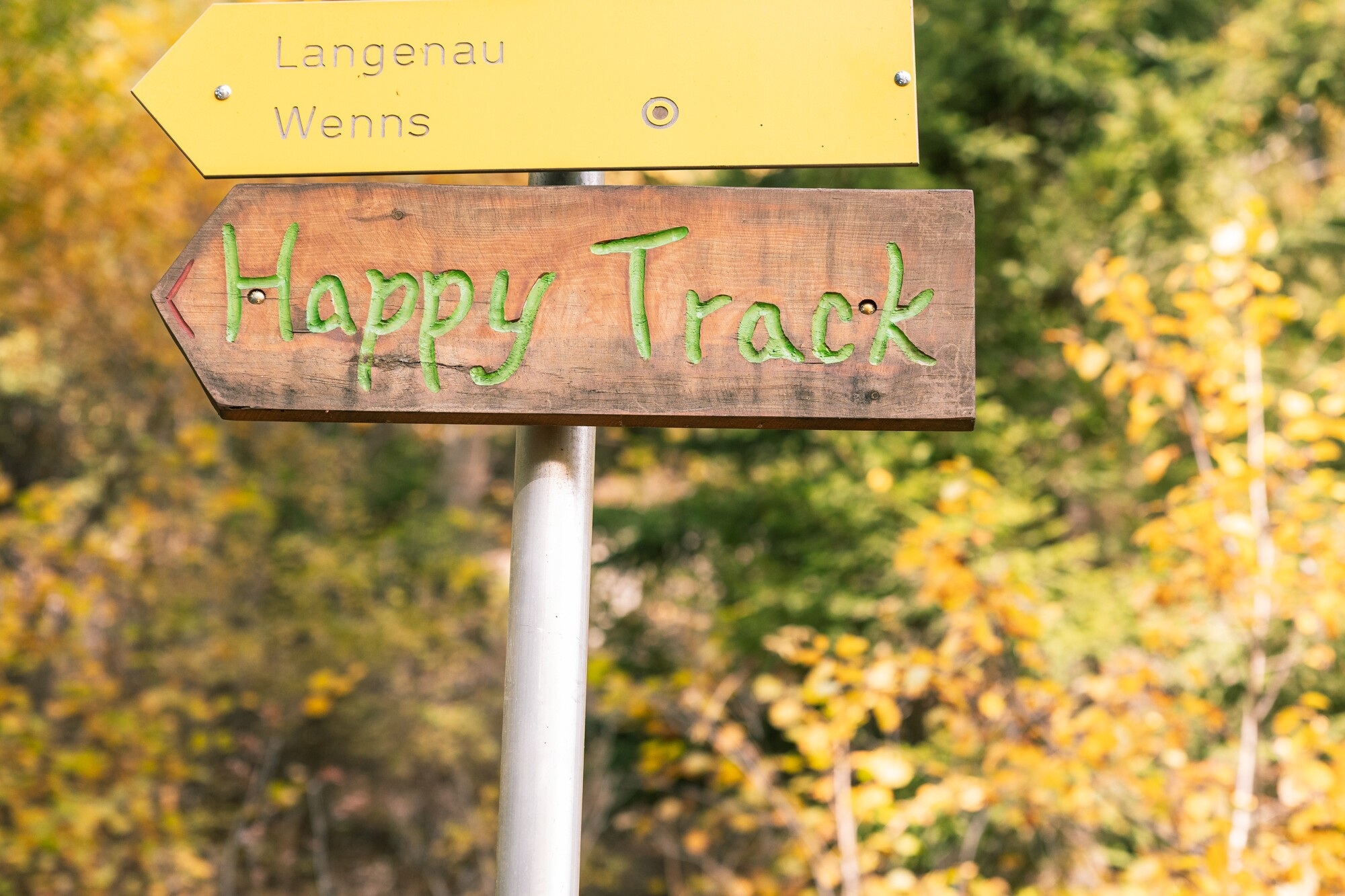 Happy Track