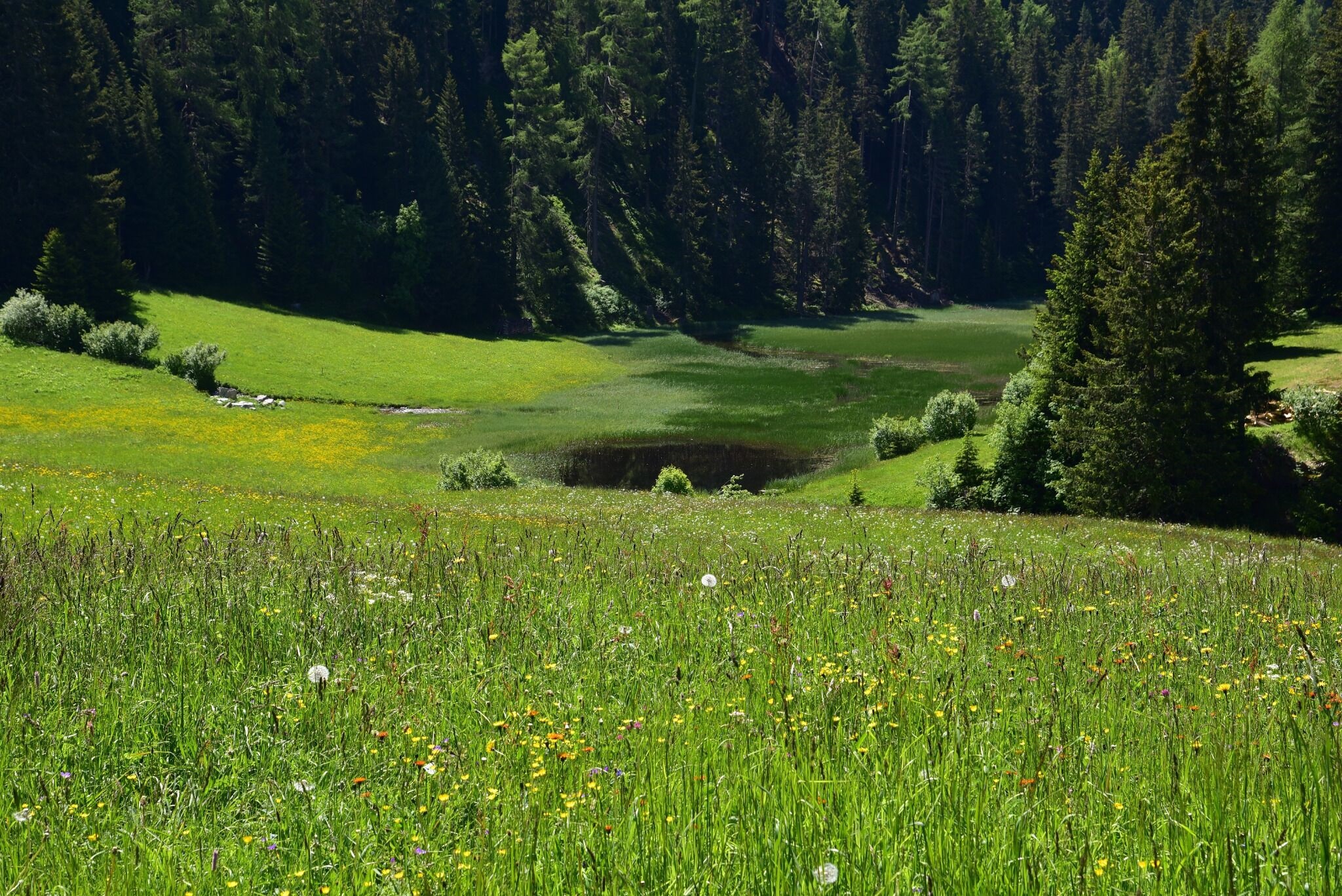 4) Harber Wiesen - Naturparkhaus