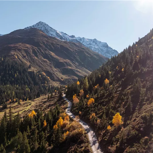 Herbst Mandarfen