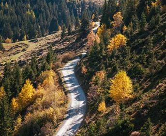 Herbst Mandarfen