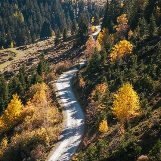 Herbst Mandarfen