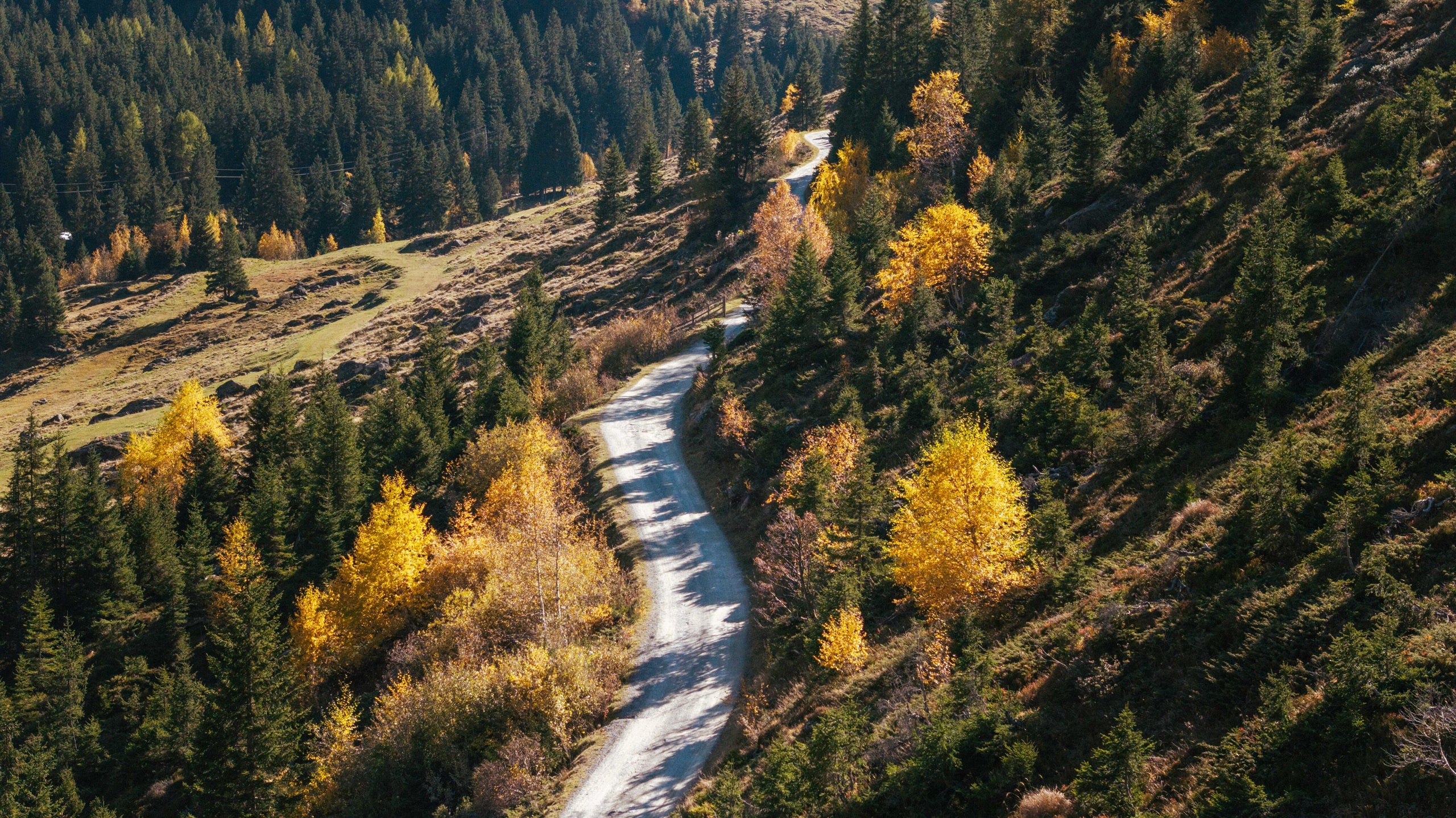 Herbstliches Hochtal – das Taschachtal