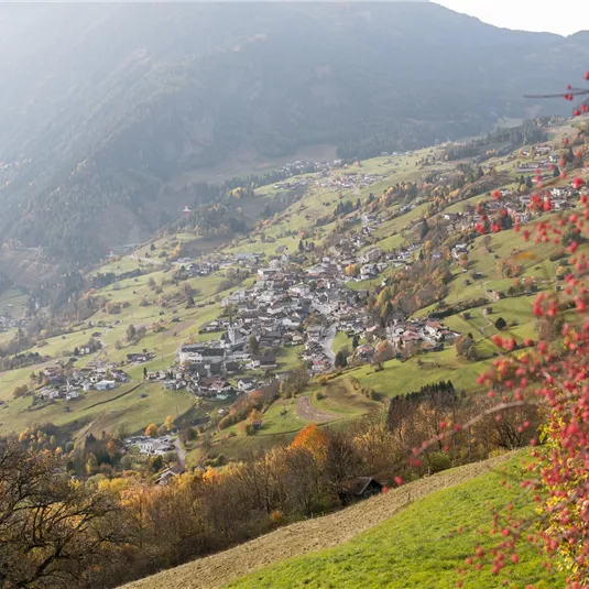 Landscape Wenns in autumn