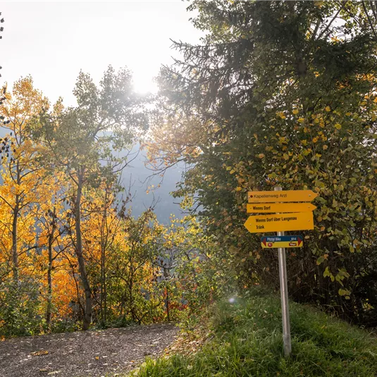 Landscape Wenns in autumn