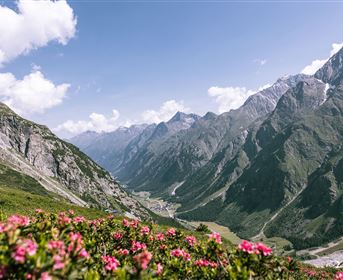 Hirschtal_Panoramasteig