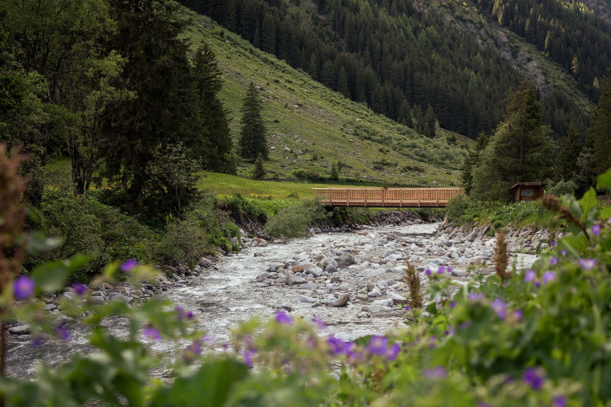 IVV-Talwanderweg-Plangeross