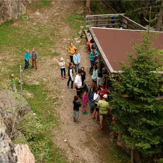 Kletterpark Jerzens - Hochzeiger