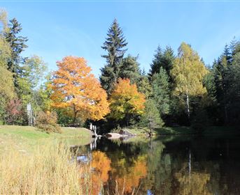Landschaftsteich Piller